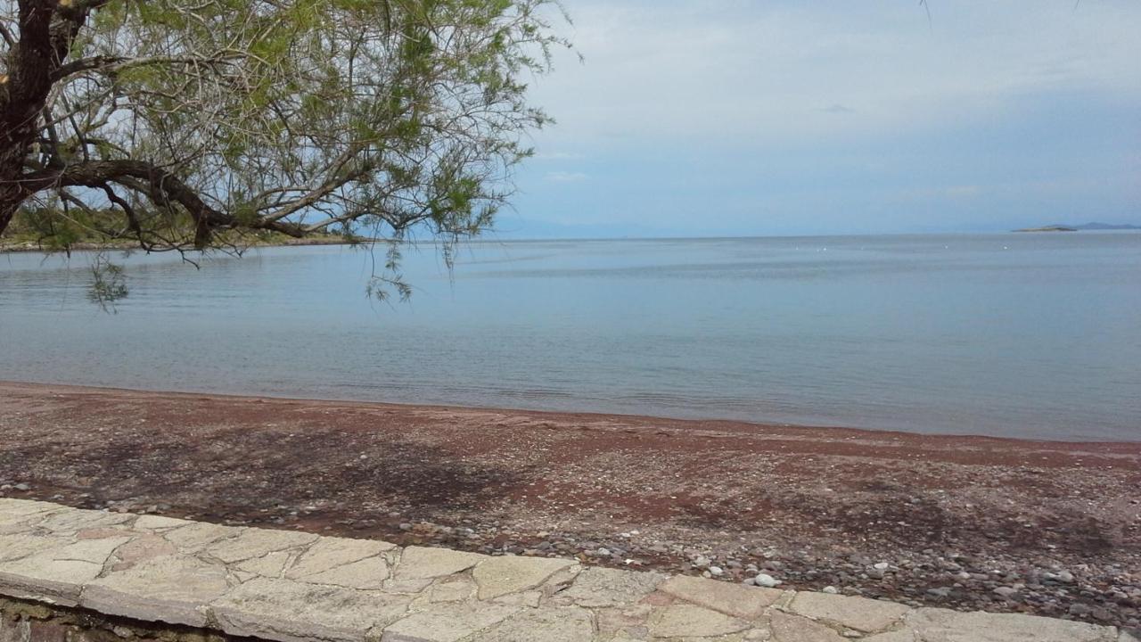 Armonia Houses Tsonia Bagian luar foto